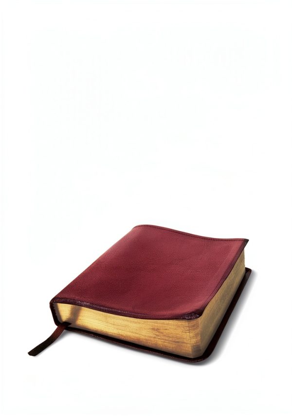 Moody Publishers Living By the Book Kindle Bible 2nd Edition 395 Pages-0
