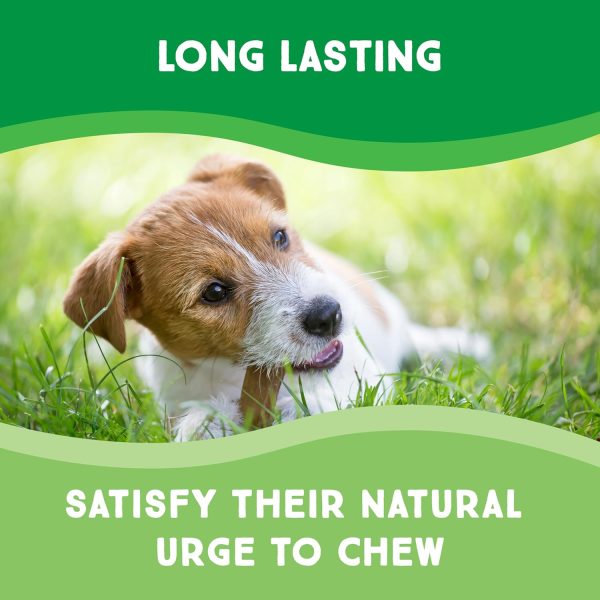 Chips 3-Pound Bag - Premium Large Dog Rawhide Chews - Ideal for Agressive Chewers Dog Rawhide Treats - Durable Rawhide Bones for Large Dogs-3