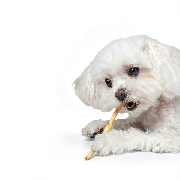 Earth Animal No Hide Stix Dog Chews Sticks Rawhide-Free Chicken 10pcs-5