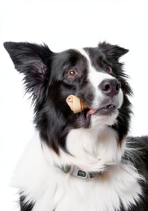DreamBone Rawhide Free Dog Chews Real Chicken 15 Count Pack-5