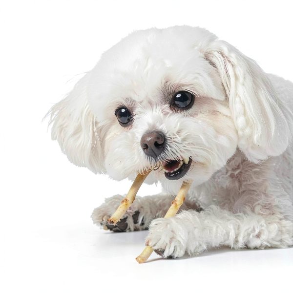 Earth Animal No Hide Stix Small Dog Chews Chicken 20 Count Value Pack-5