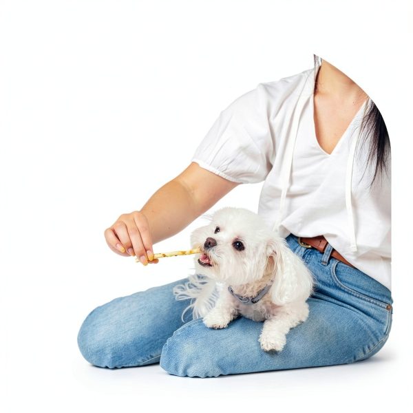Earth Animal No Hide Stix Small Dog Chews Chicken 20 Count Value Pack-2