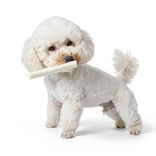 MON2SUN Dog Rawhide Rolls Sticks 6.5 Inch 40 Count for Small Dogs-4